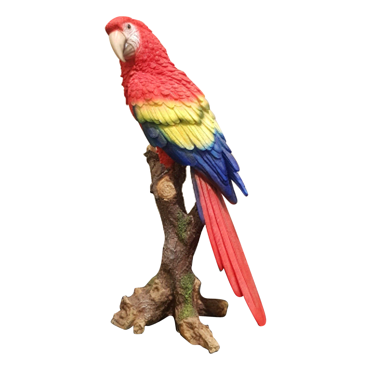 Parrot Small – KC4523