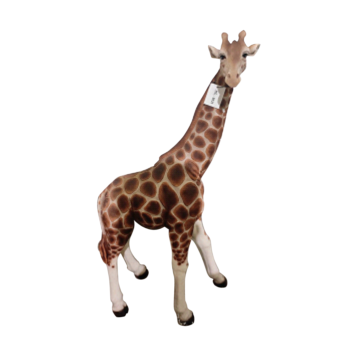 Giraffe – KC4536