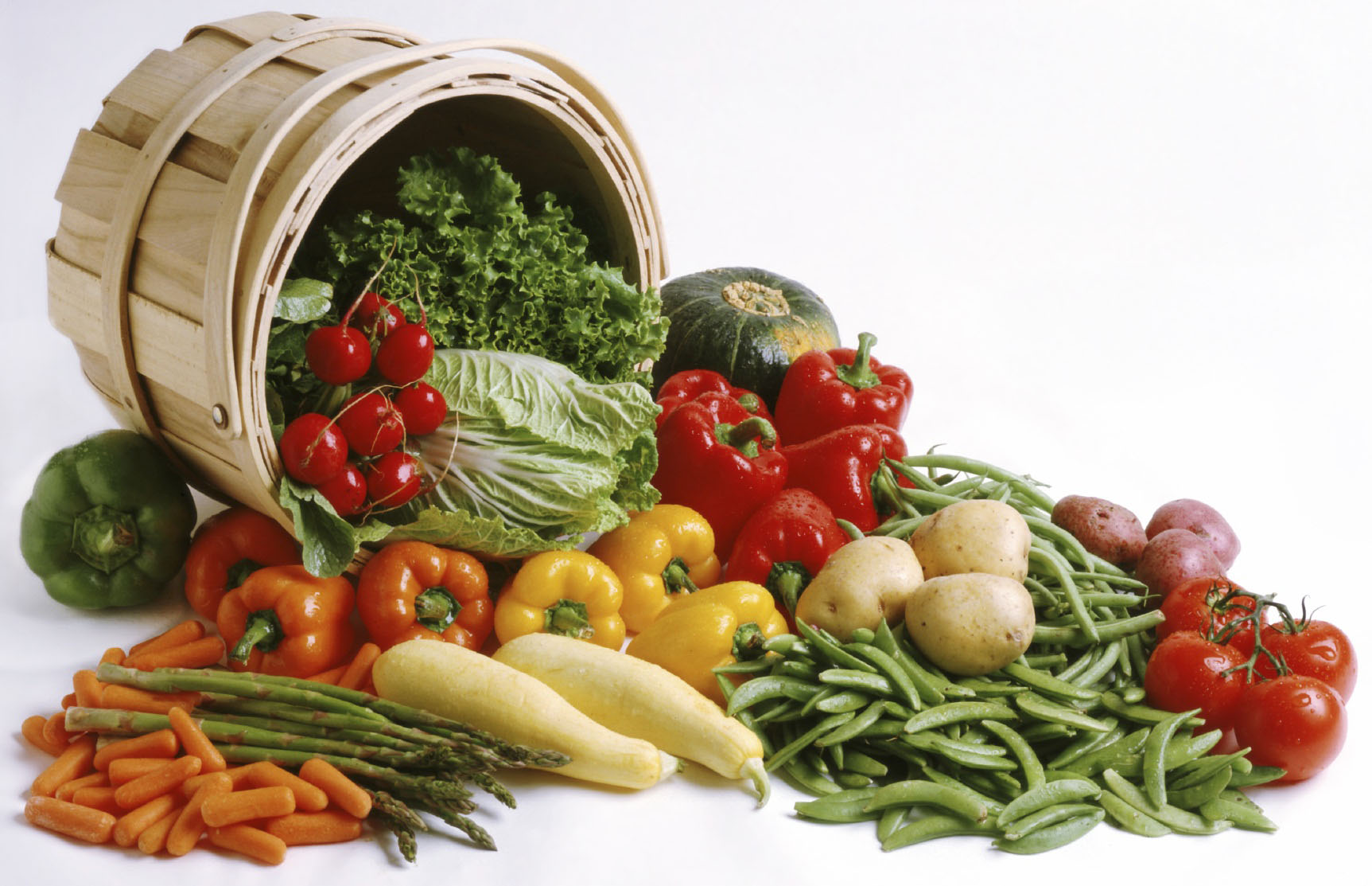 Consultancy (Nutrition)