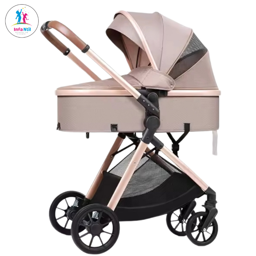 Multifunctional 2-in-1 Stroller