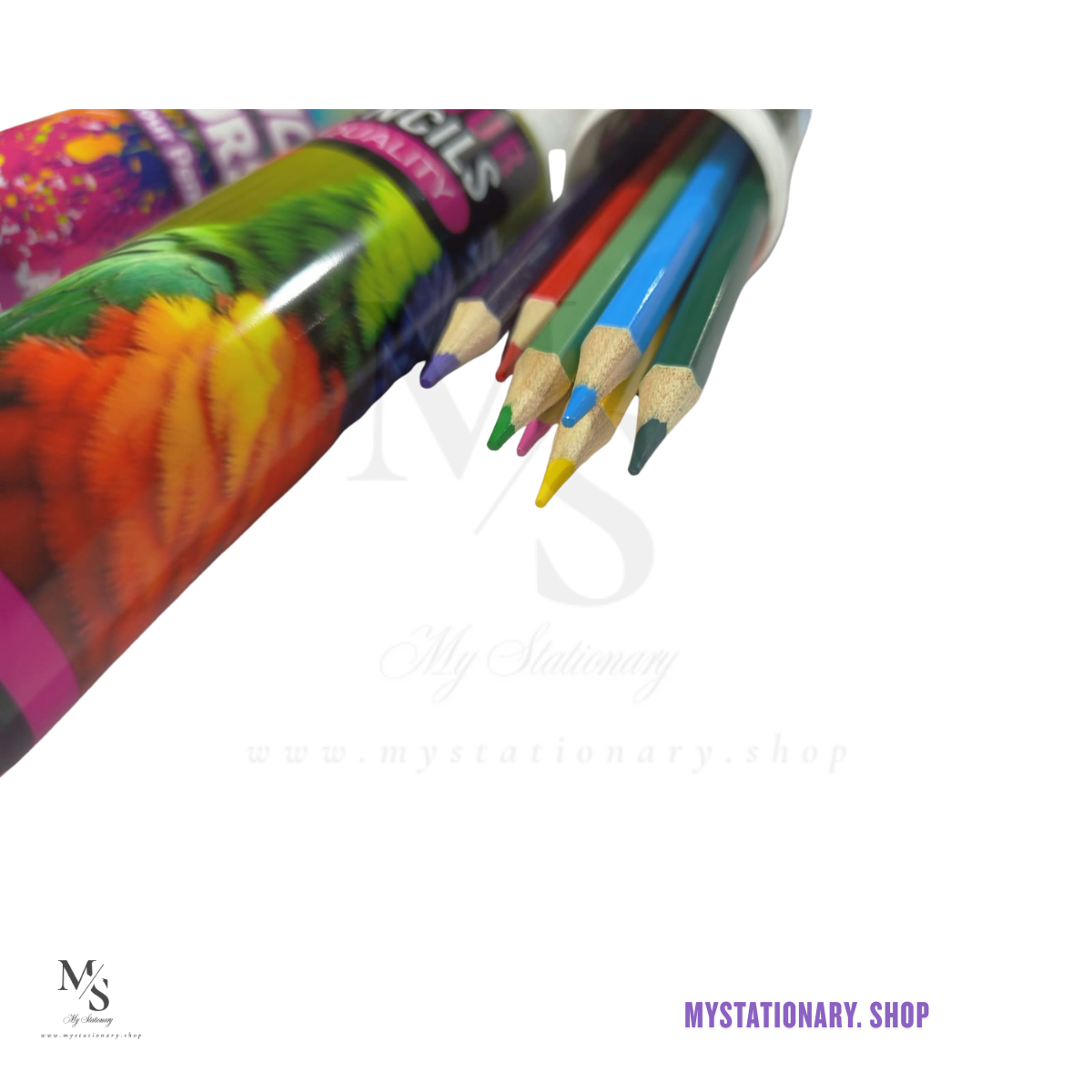 Piano Pencil Colors Large ( Bottle of 12 )