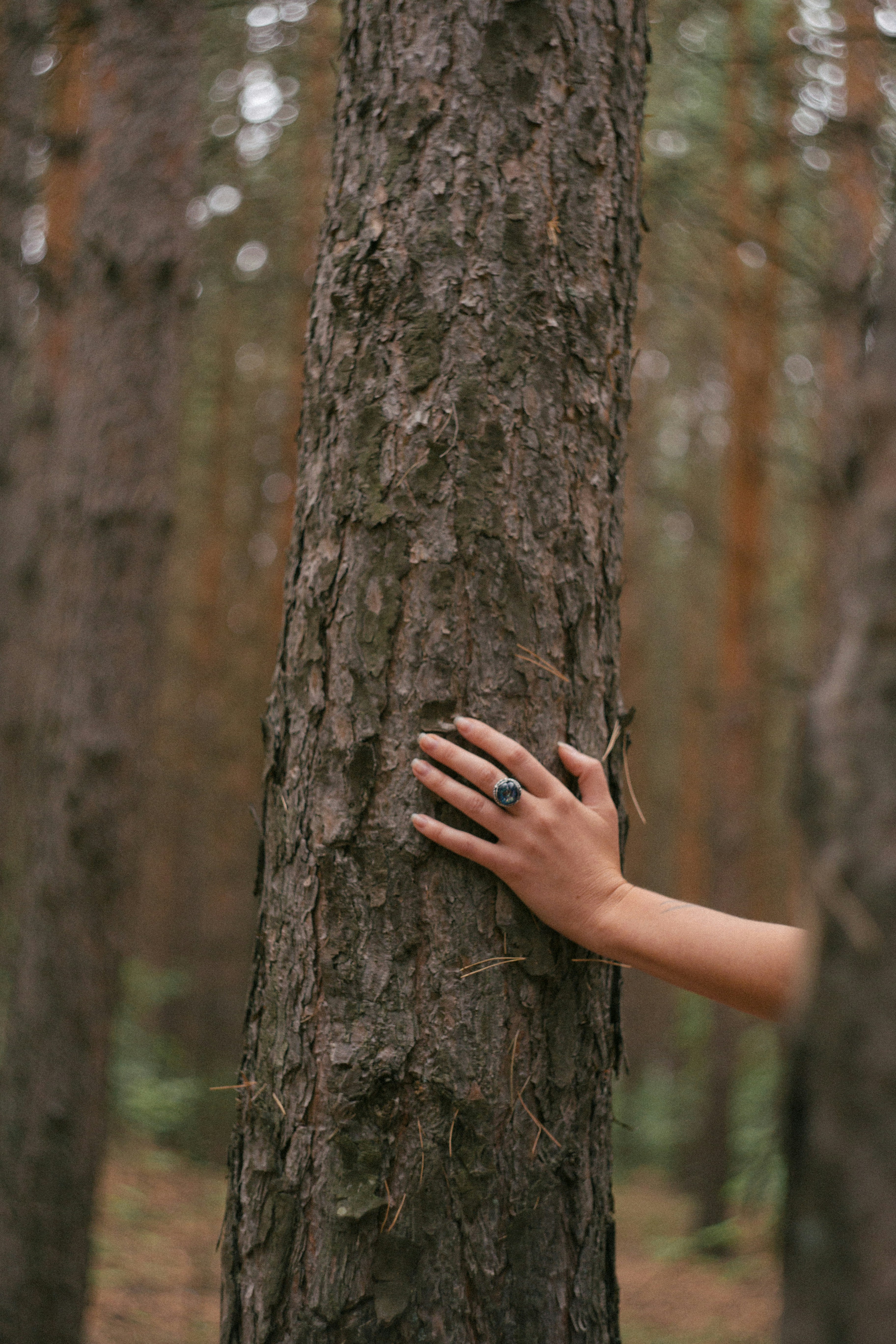 Recorded Guided Ecotherapy Session