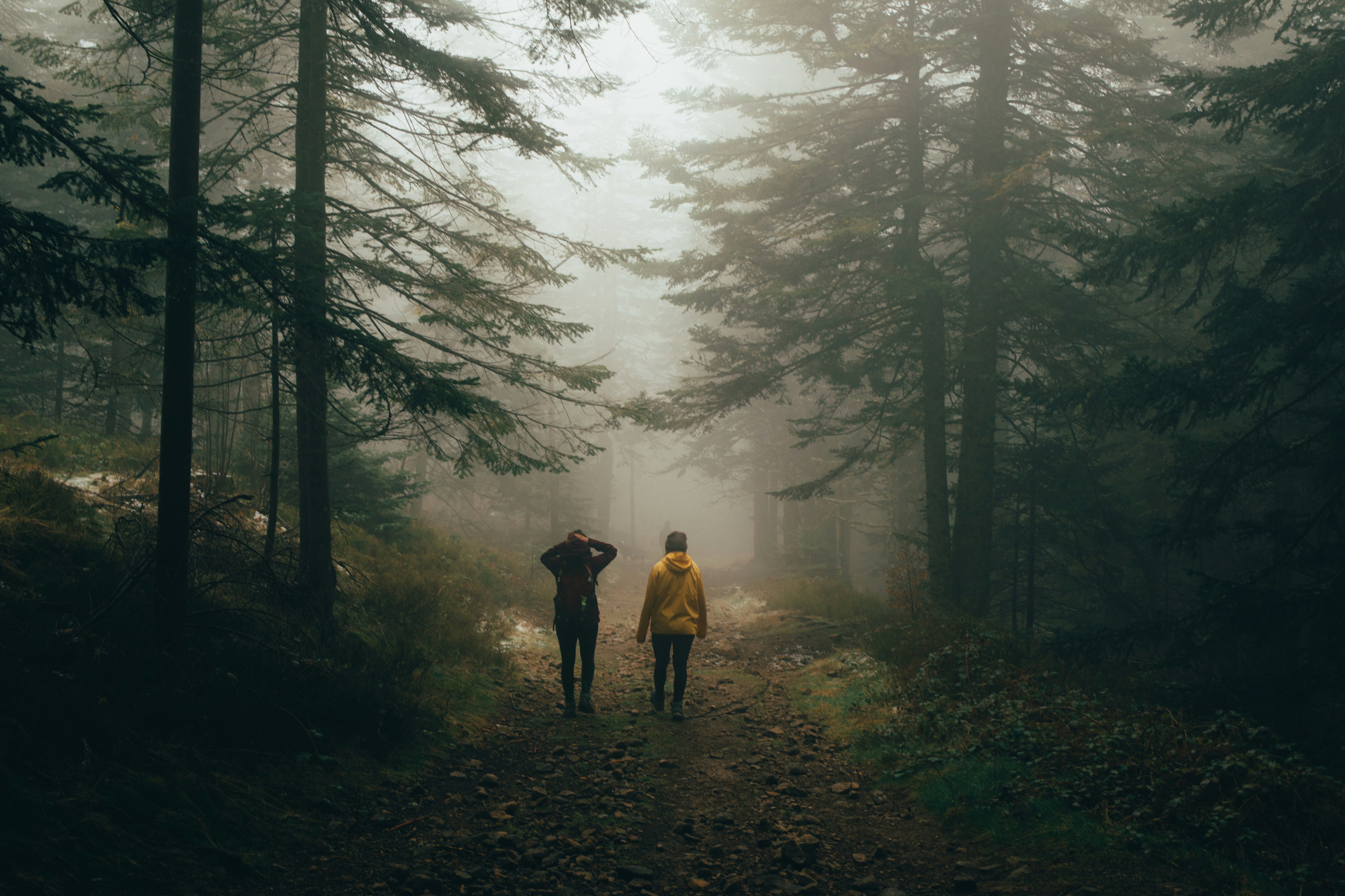 60-minute 1:1 Ecotherapy Session