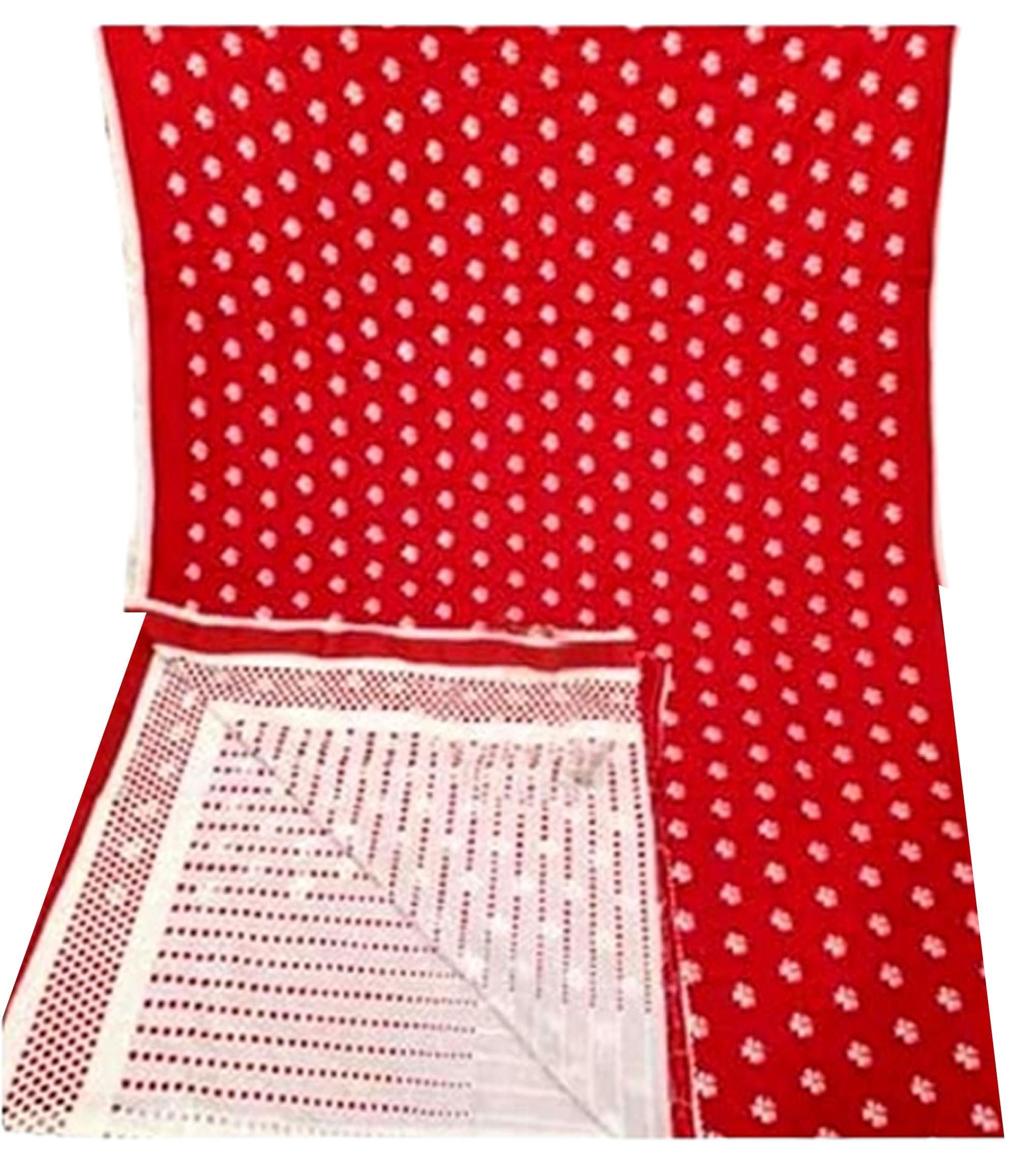 Jolly Women`s Hakoba Saree Hand Embroidered in Traditional Woven