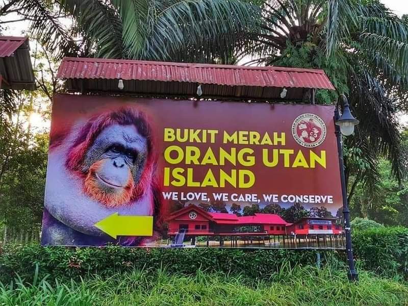 STARGAZING AT BUKIT MERAH