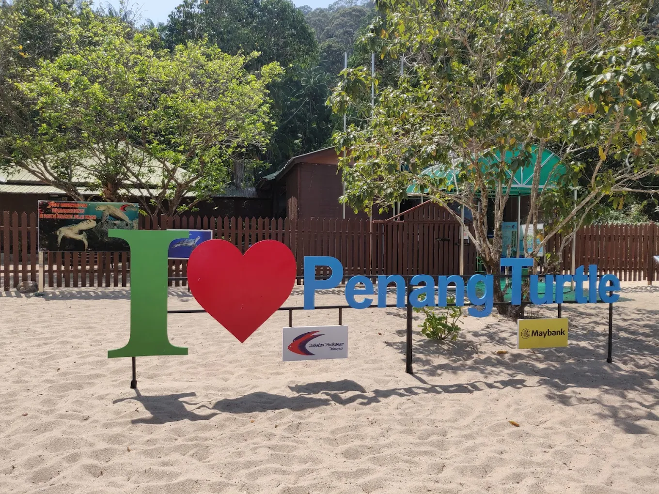 STARHEALING AT PENANG NATIONAL PARK