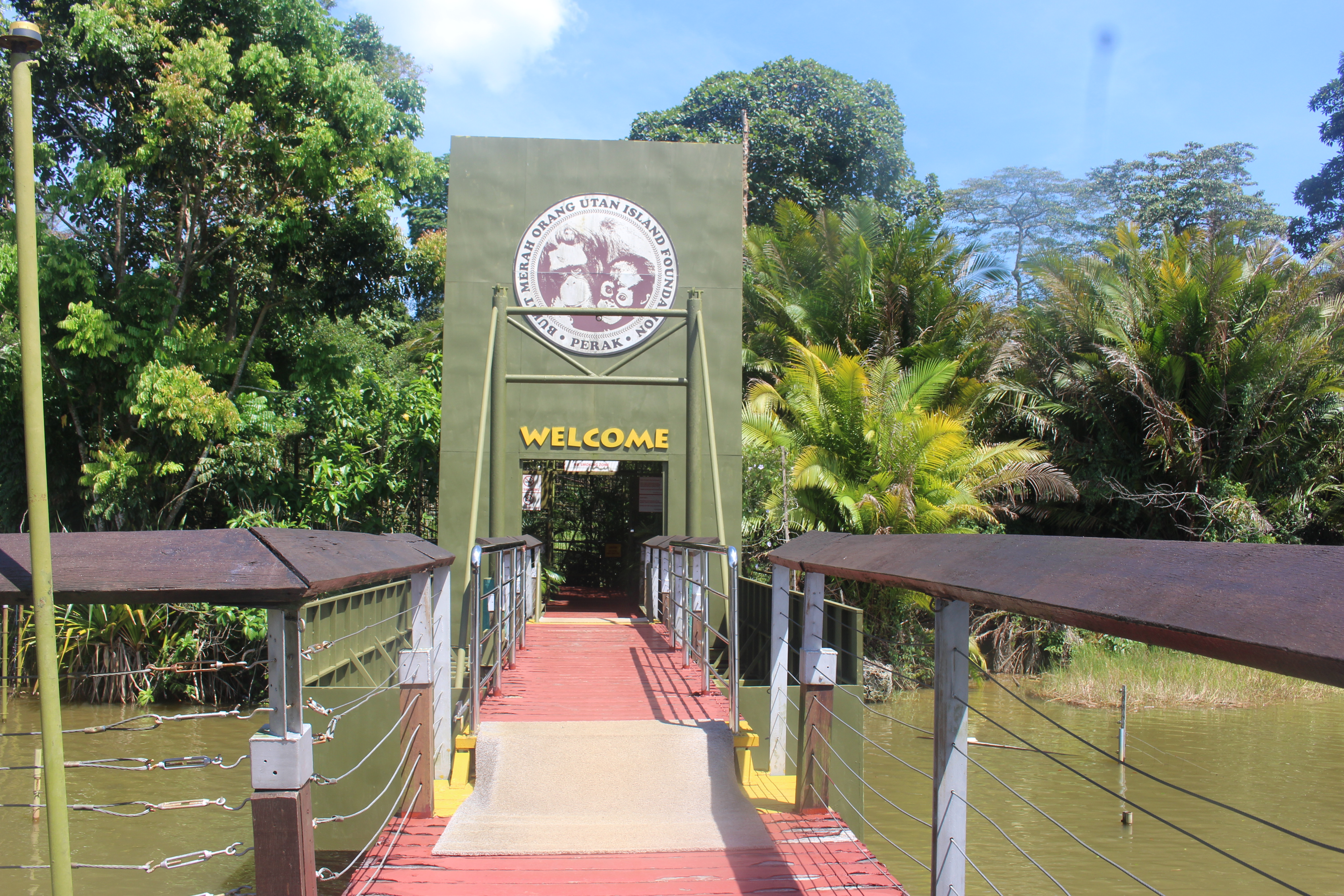 NATUER'S MARVEL: ORANGUTANS & FIREFLIES TOUR