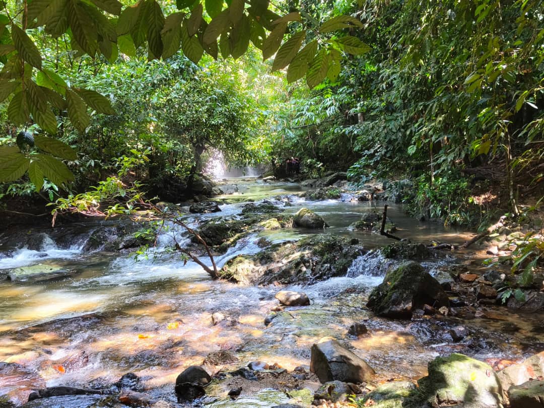 3D2N BELUM RAINFOREST RESORT DISCOVERY PACKAGE – 2 PAX