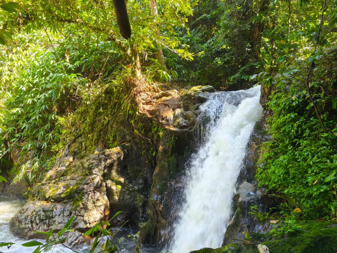 3D2N BELUM RAINFOREST RESORT DISCOVERY PACKAGE – 2 PAX