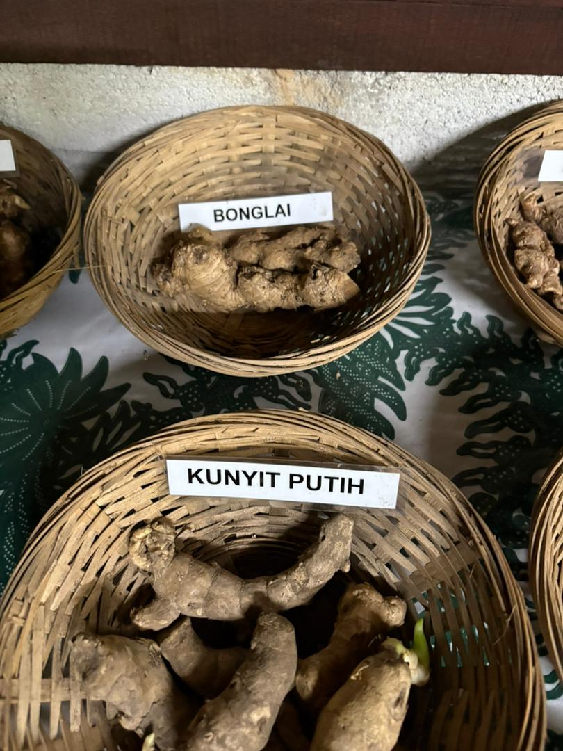 DANGAU JUNGLE HERB SAUNA