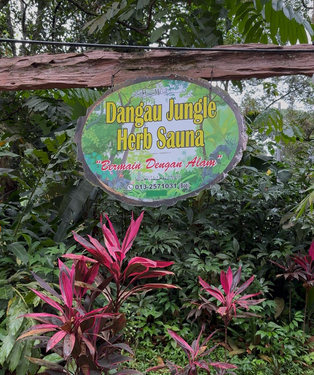 DANGAU JUNGLE HERB SAUNA