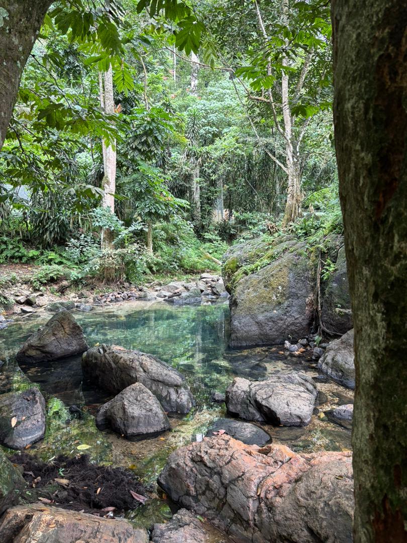 DANGAU JUNGLE HERB SAUNA
