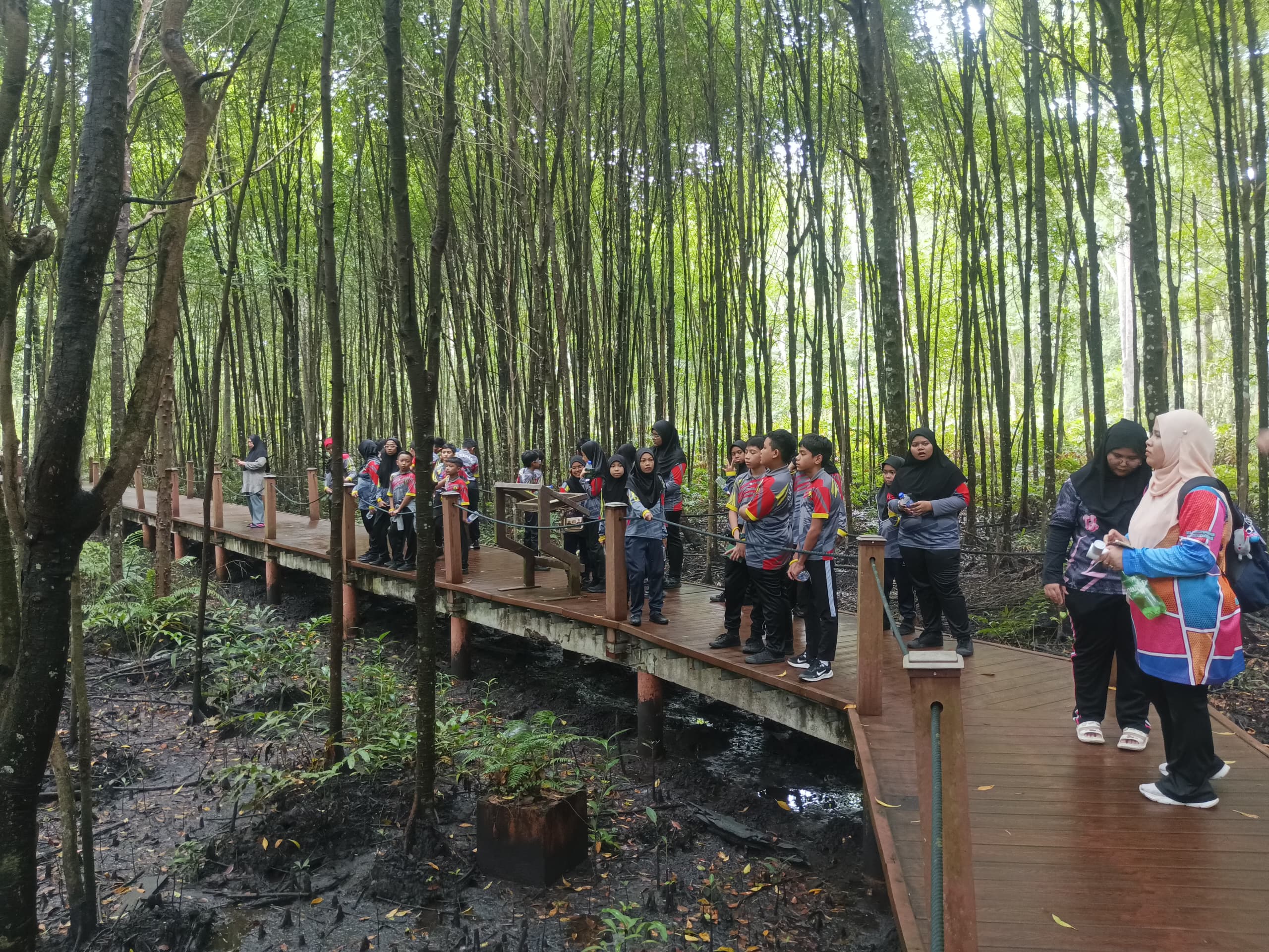 KUALA SEPETANG DAY TRIP