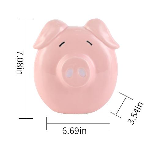 Ceramic Piggy Bank