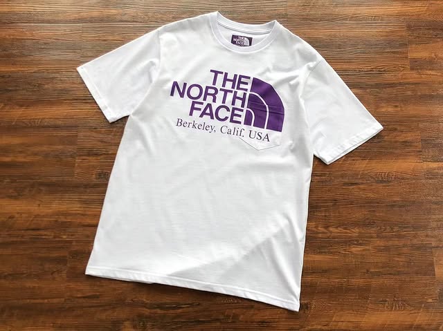 Camiseta The North Face Basica