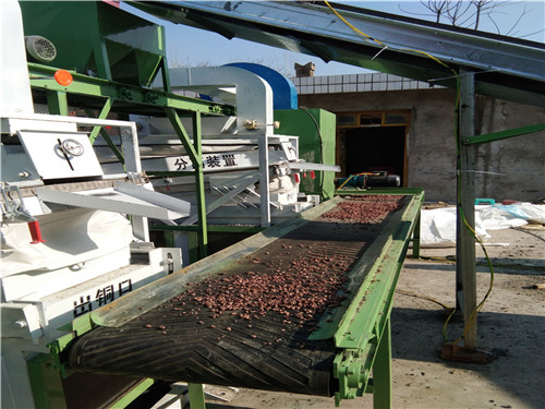 Automatic Radiator shredding and separating machine for Copper/Aluminum/Steel Sorting