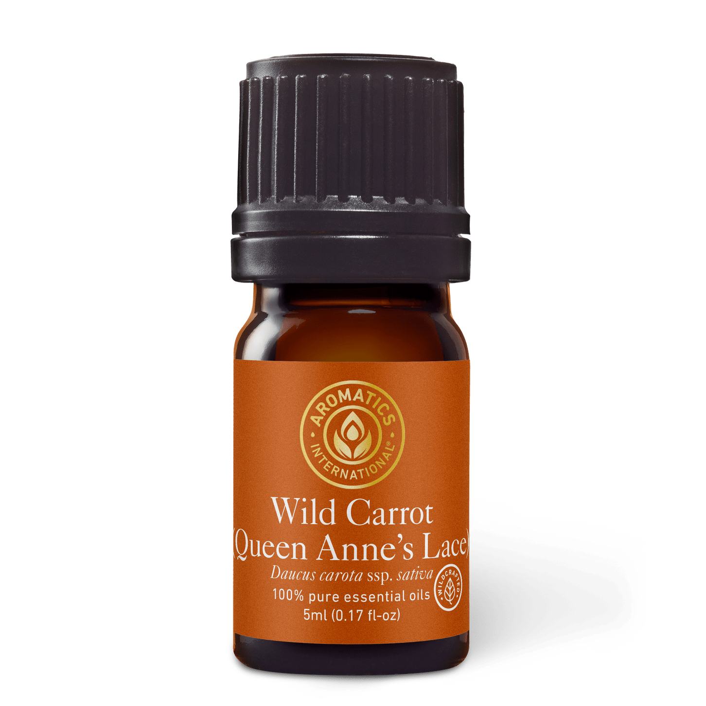 Wild Carrot Queen Anne's Lace Essential Oil