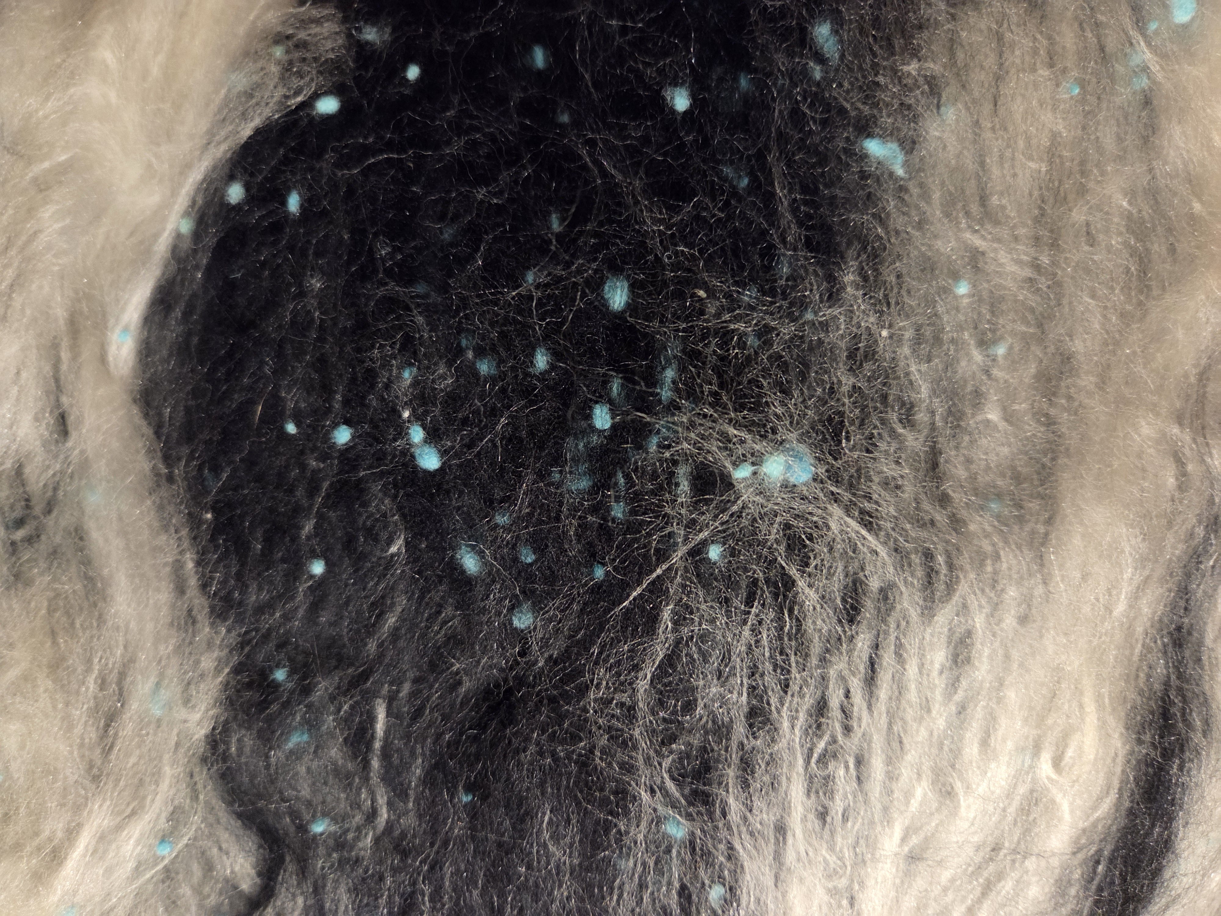 Artbatt "DOTTED ZEBRA" BLAU UV