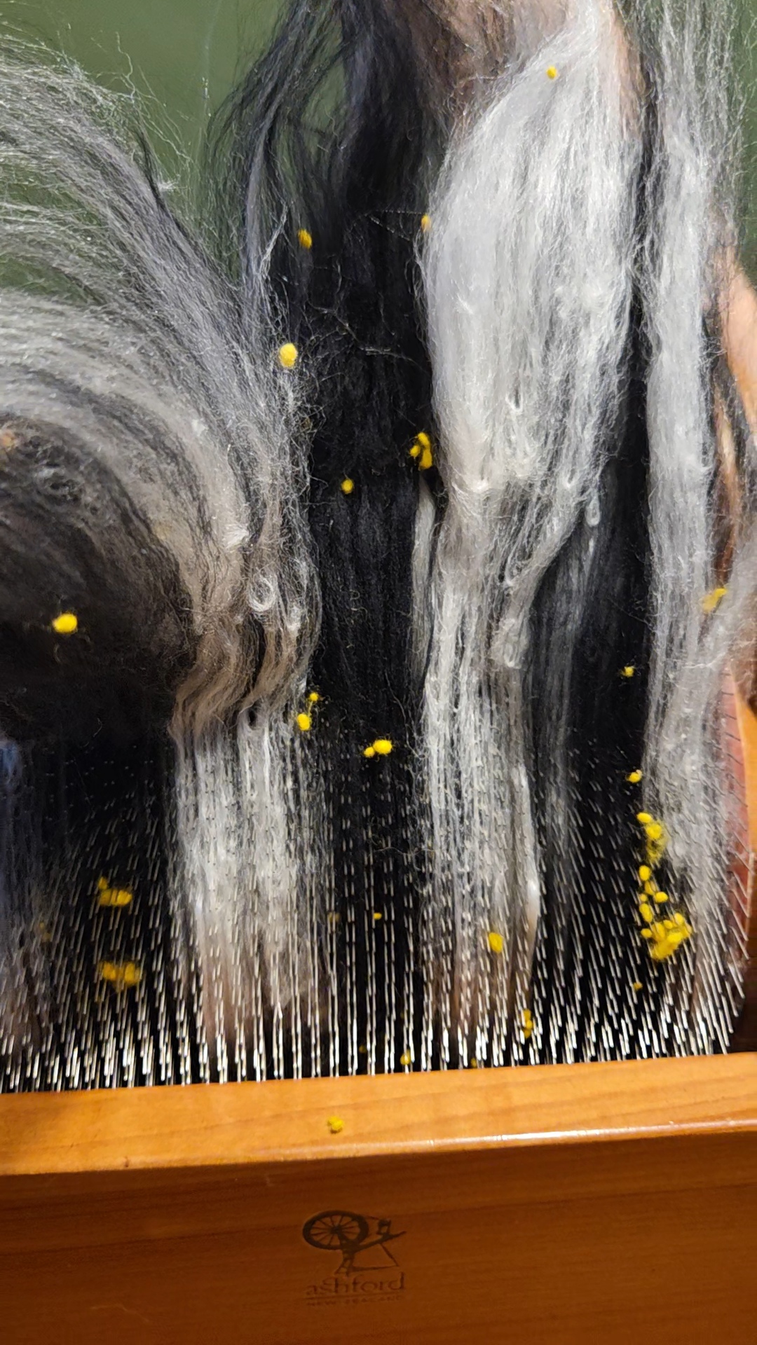 Artbatt "DOTTED ZEBRA" GELB