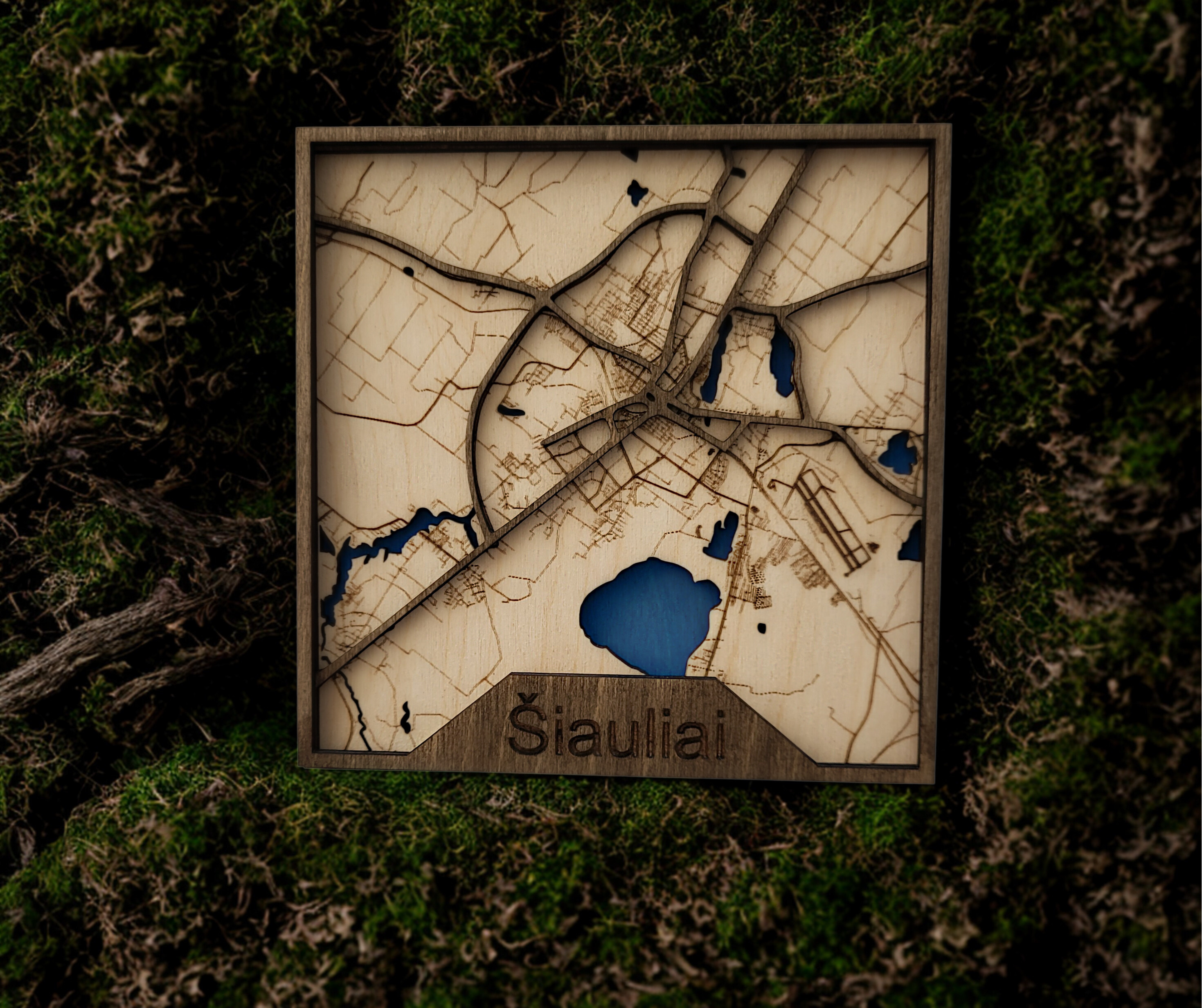 Miesto žemėlapis su pažymėtomis koordinatėmis