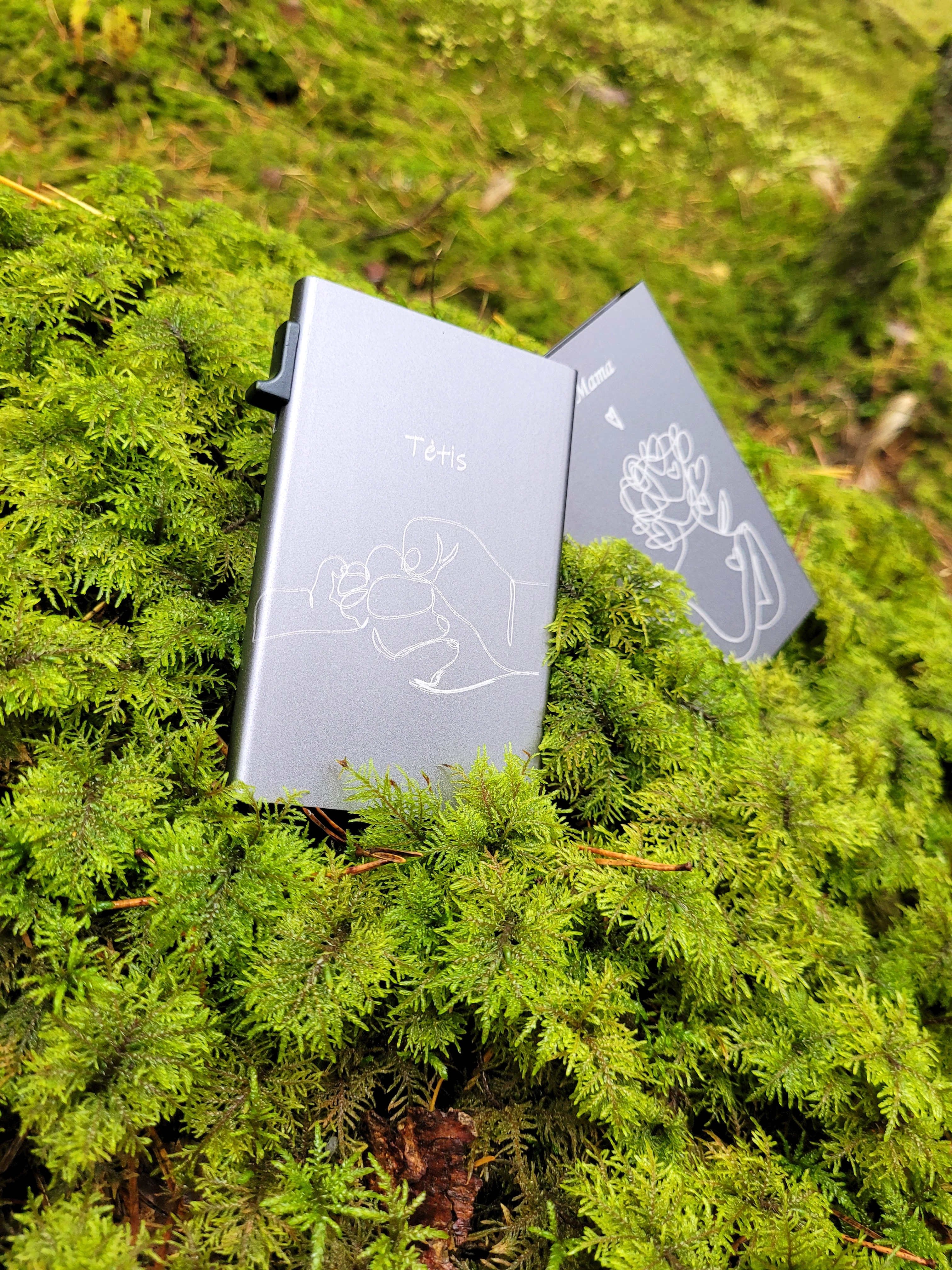 Metalinis kortelių dėklas