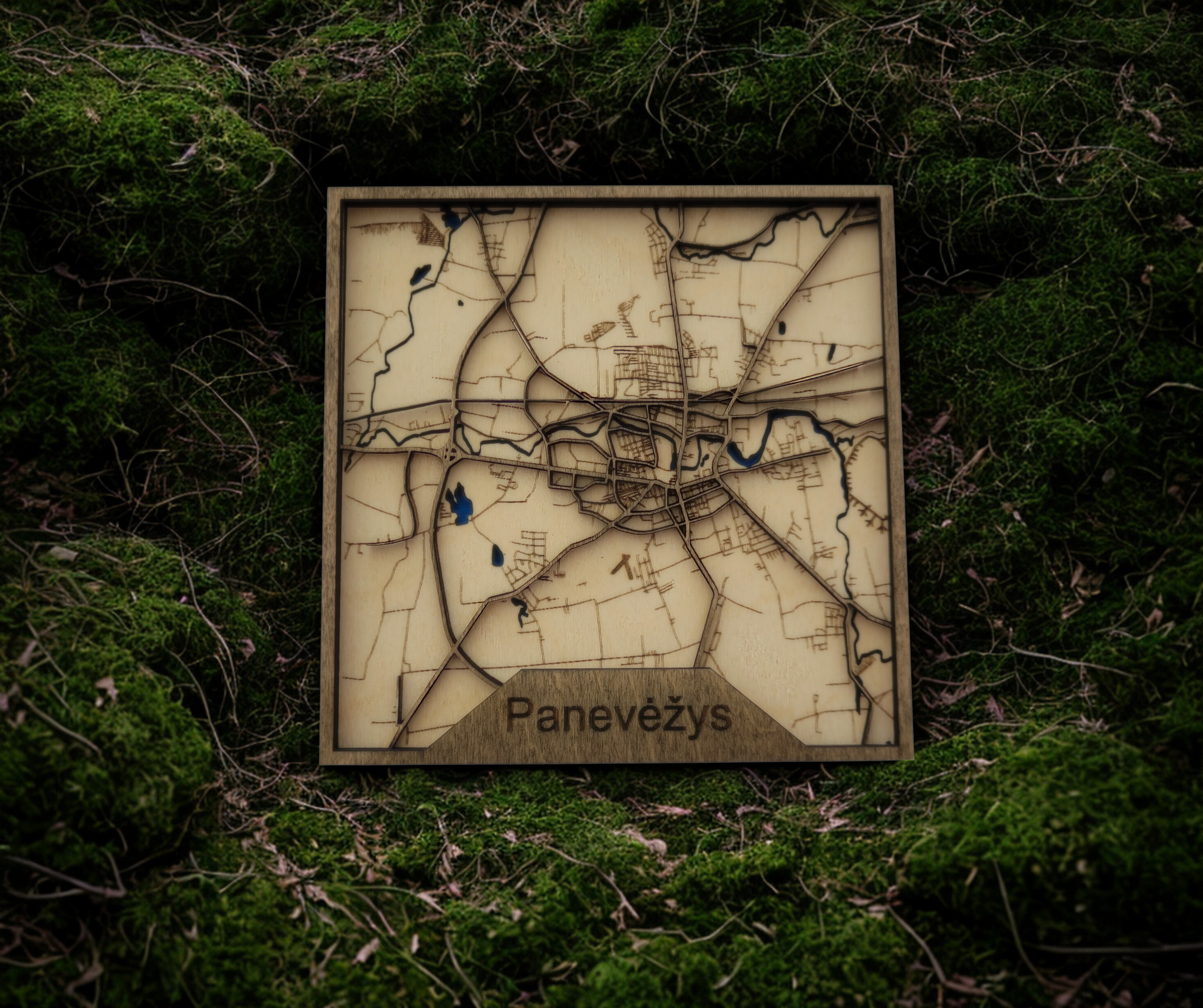 Miesto žemėlapis su pažymėtomis koordinatėmis