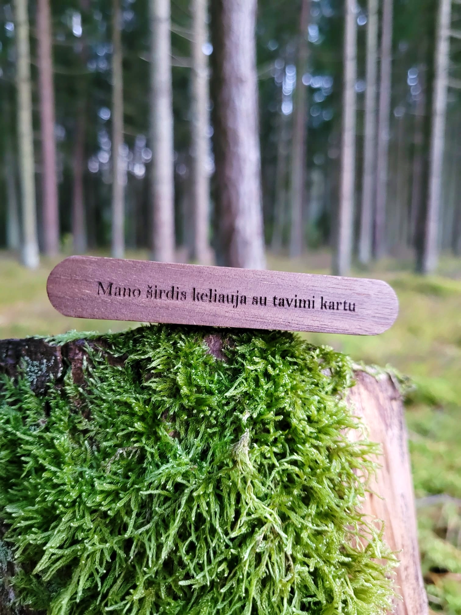 Automobilio difuzorius