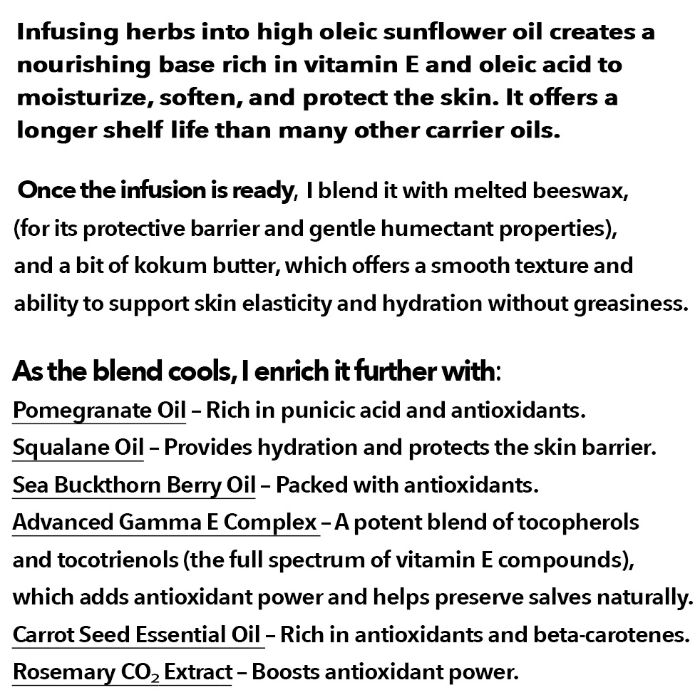 After Sun Healing Salve