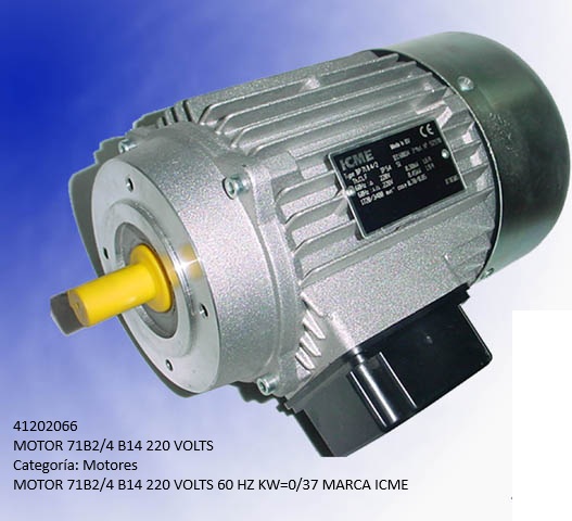 ICME 71B2/4 Electric Motor