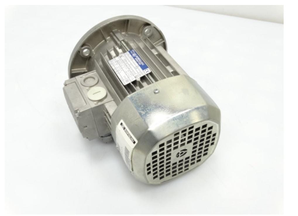 Electric Induction Motor