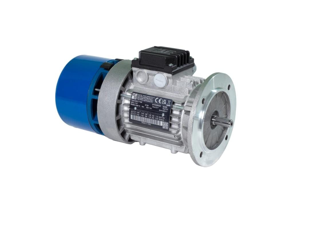 Industrial Electric Motor