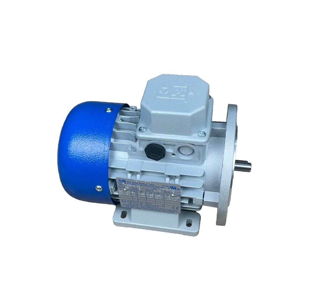 Electric Induction Motor