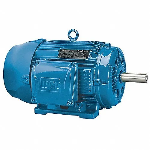 Industrial Electric Motor