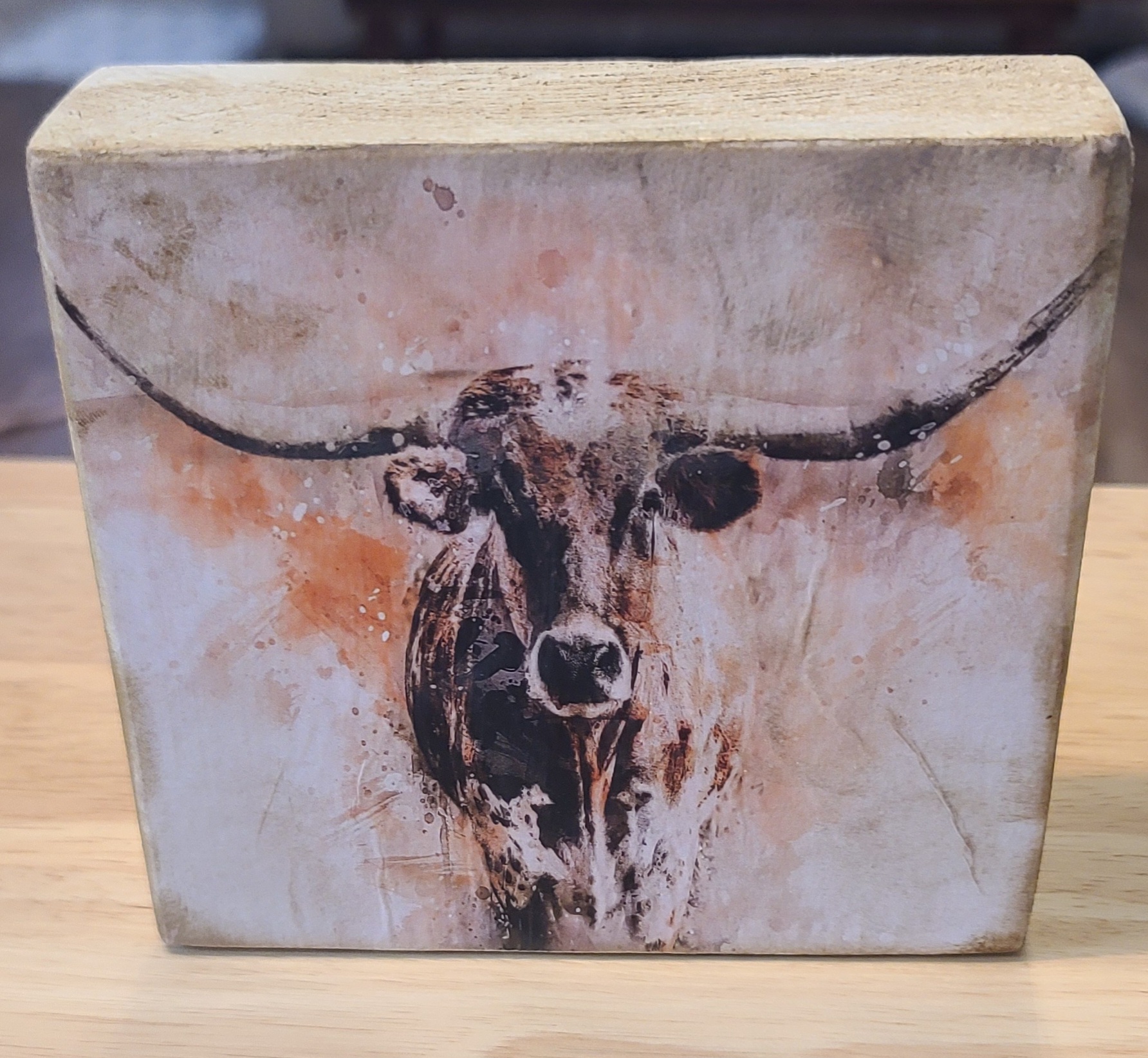 Rustic Longhorn Wooden Block