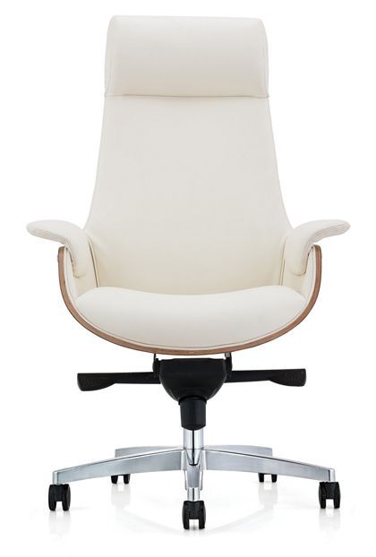 Ergonomic Office Chair