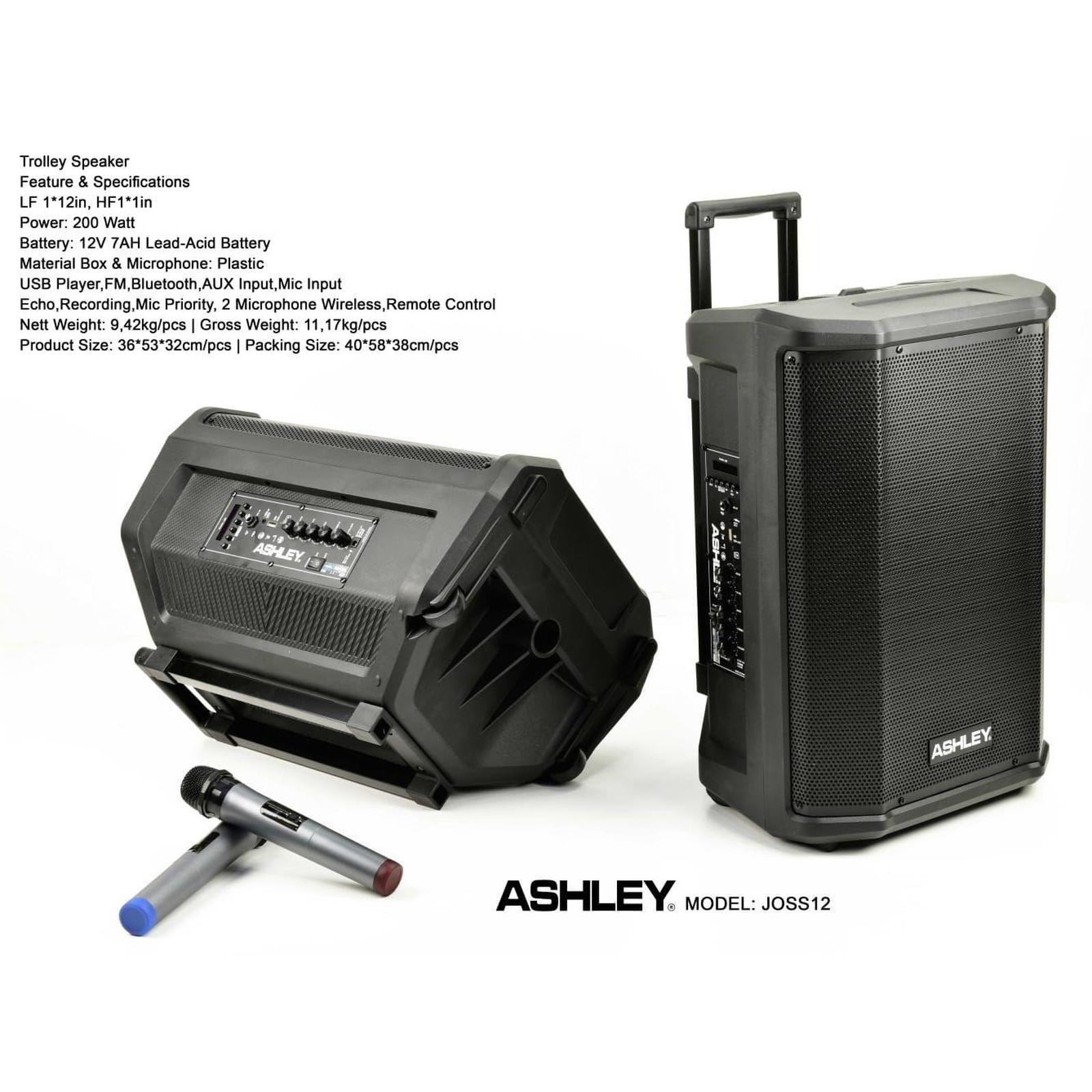 Speaker Aktif Portable ASHLEY JOSS12 