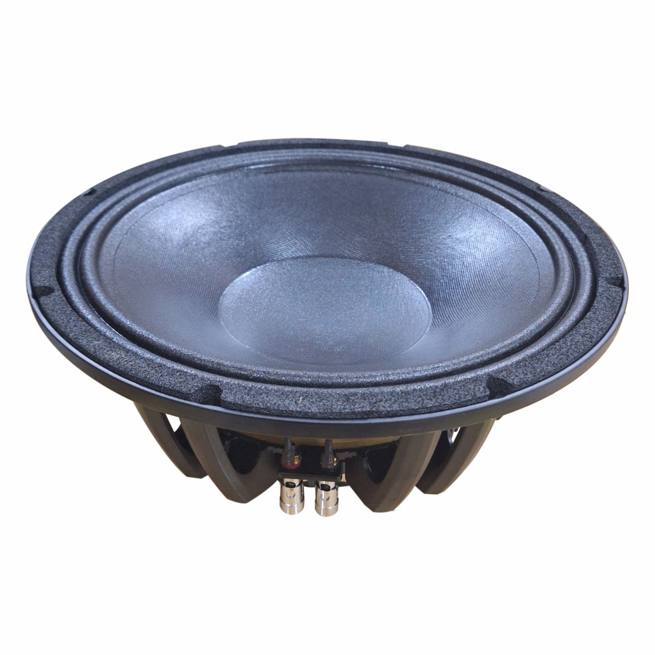 HZPRO J12ND 12Inc Neodymium Speaker Transducer Component