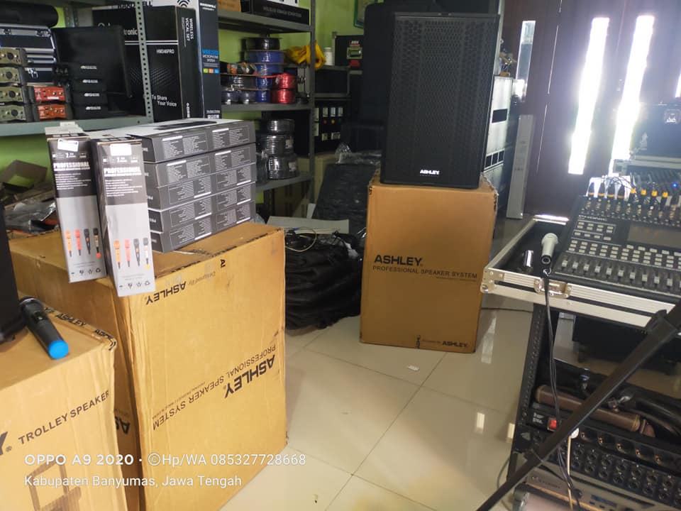 Speaker Pasif ASHLEY T24Fs - 2x12Inc+Tweeter  per 1set(sepasang)