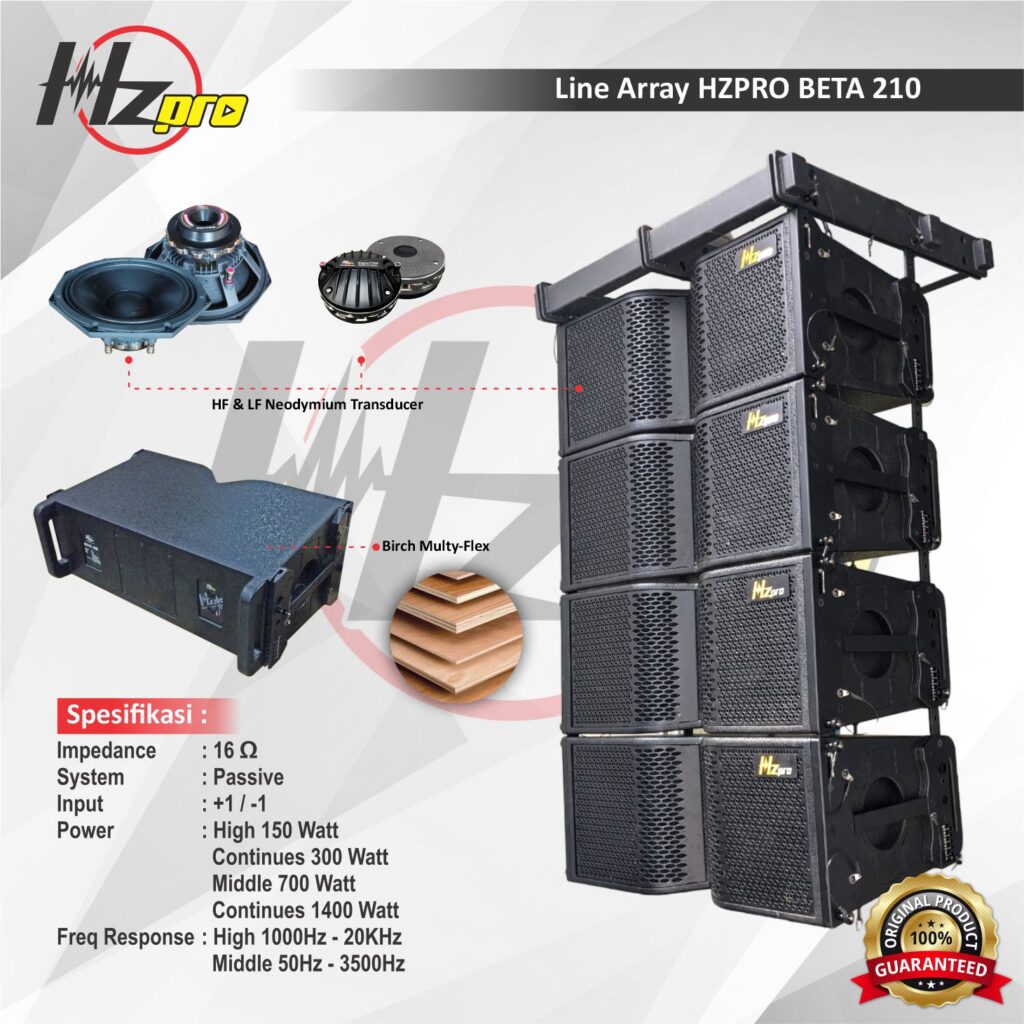 HZPRO BETA 210 Line Array Speaker Full Neodymium