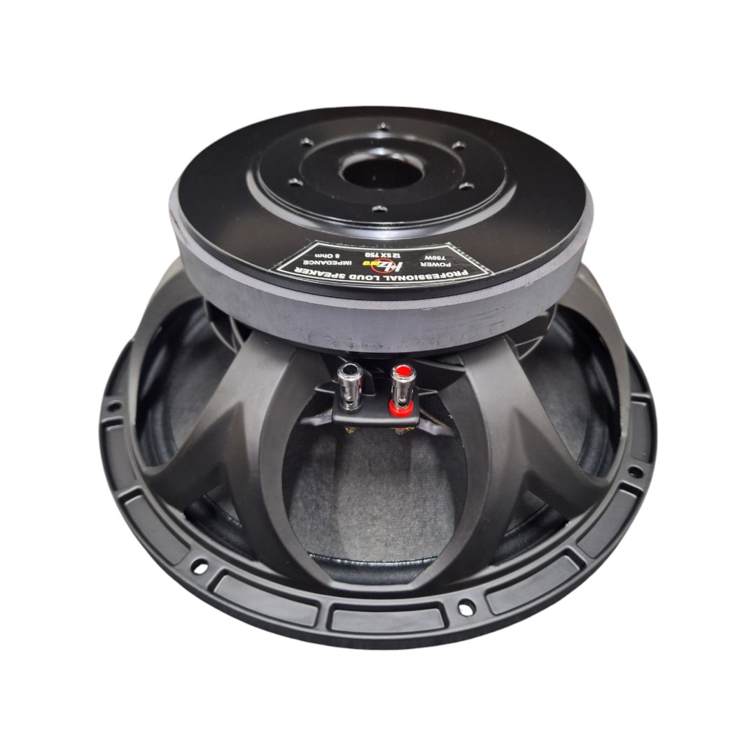 HZPRO 12SX750 12Inc Speaker Transducer Component