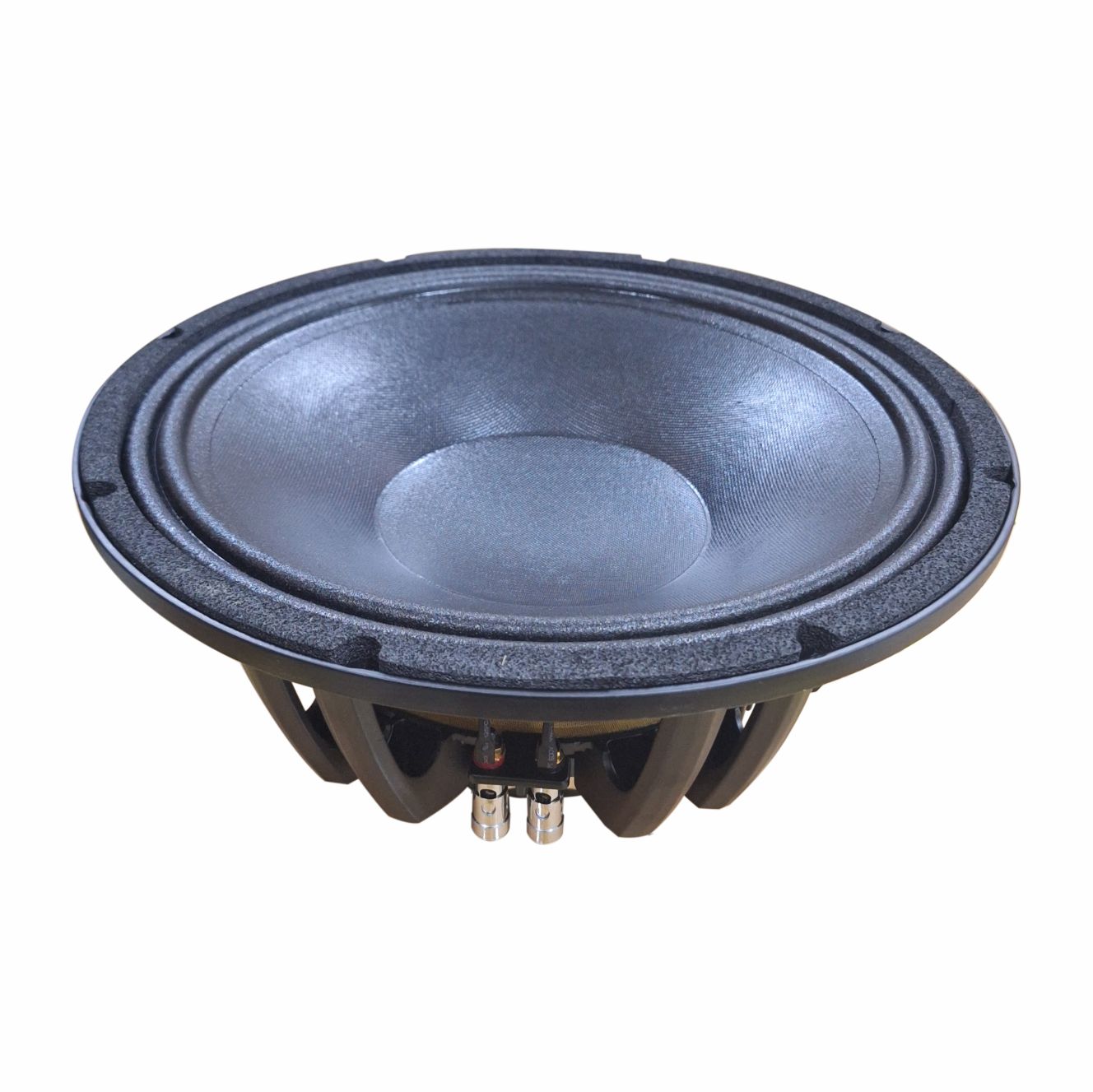 HZPRO W12ND 12Inc Neodymium Speaker Transducer Component