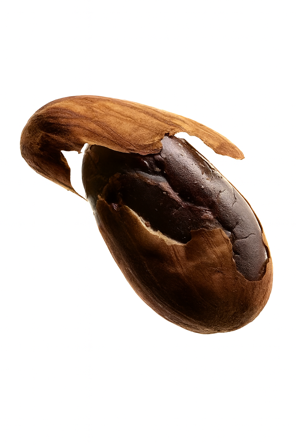 Pack 2Kgs CACAO Torréfié Bio de Madagascar