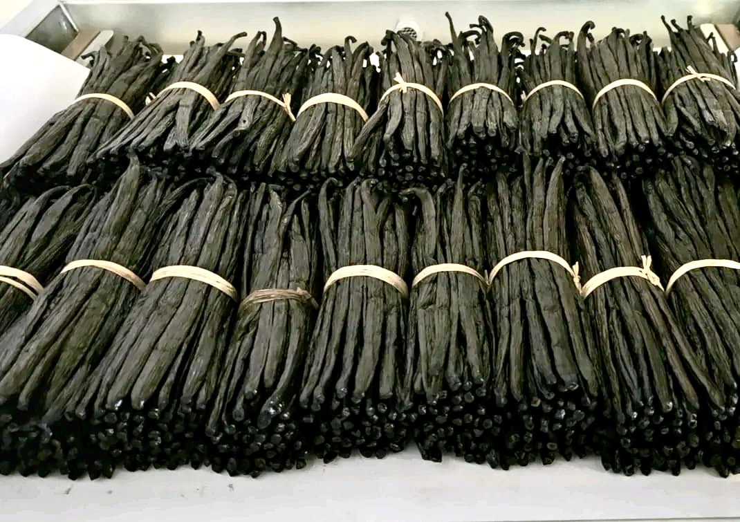 Pack 2 Kgs Vanille Premium de Madagascar