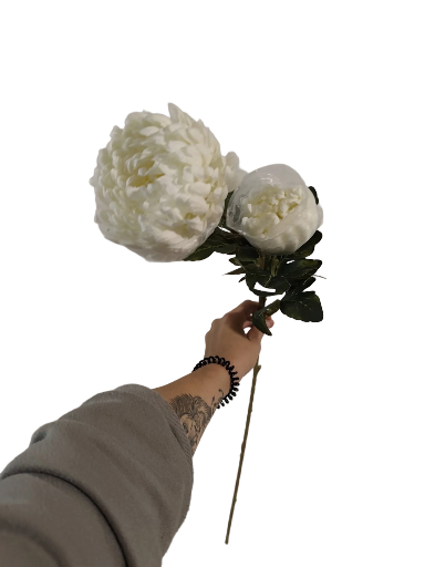 Dirbtinė baltų bijūnų šaka