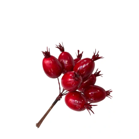 Dirbtinės erškėtrožių uogos