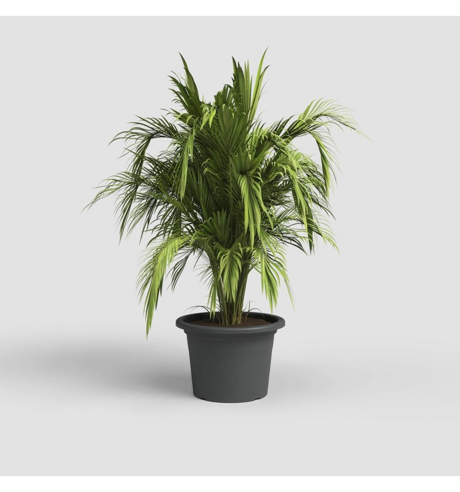 PLASTIKINIS VAZONAS CILINDRO JUODAS 25X18CM