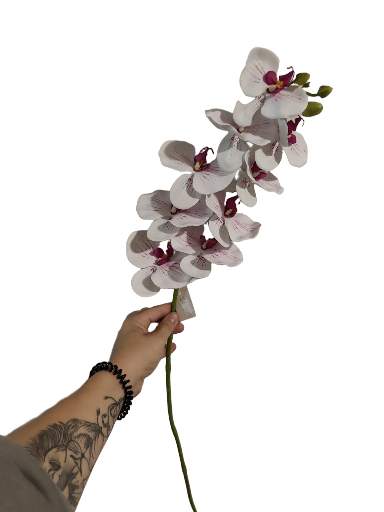 Dirbtinė orchidėja