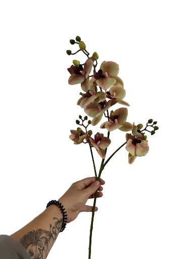 Dirbtinė orchidėja