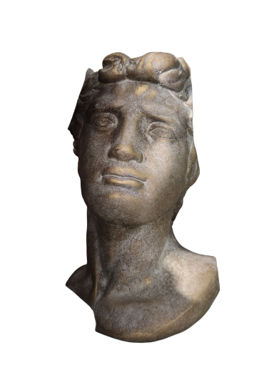 Dekoratyvinis vazonas galva