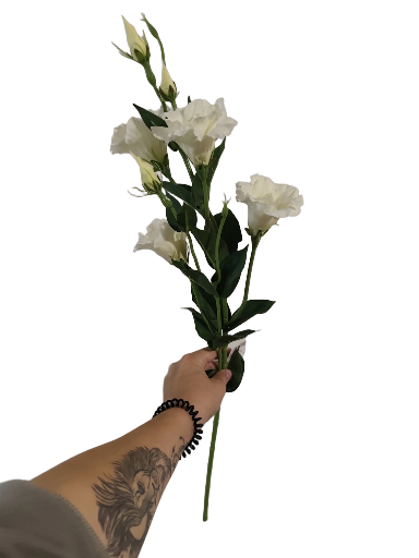 Dirbtinė baltoji gėlė